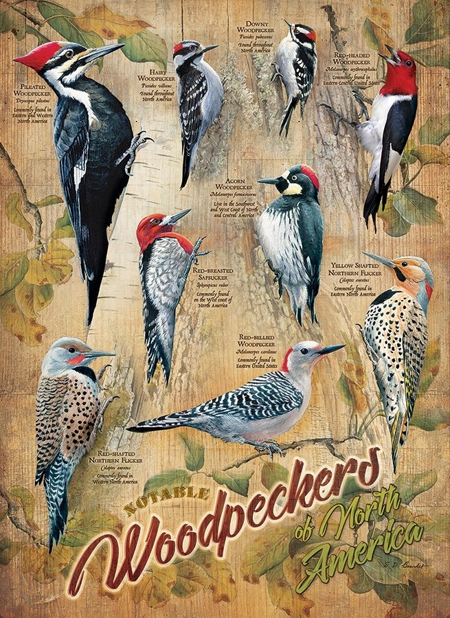 Notable Woodpeckers - 500pc Jigsaw Puzzle By Cobble Hill  			  					NEW - image 2