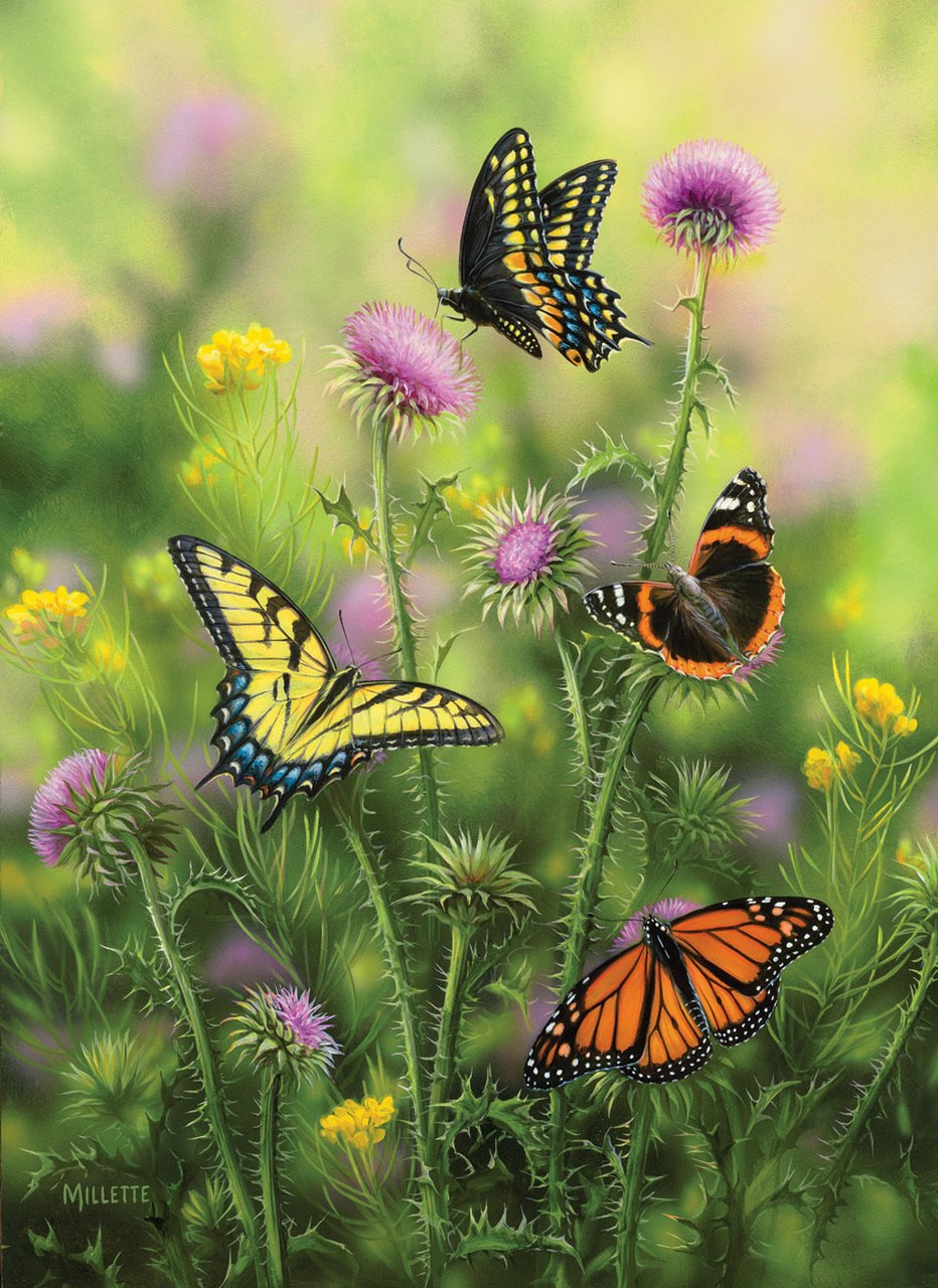 Butterflies & Thistle - 500+pc Large Format Puzzle by SunsOut