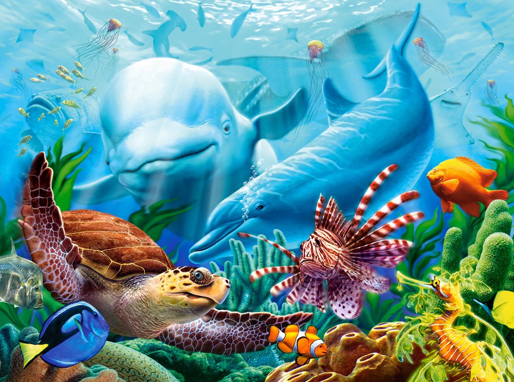 Ocean Life - 2000pc Jigsaw Puzzle By Castorland