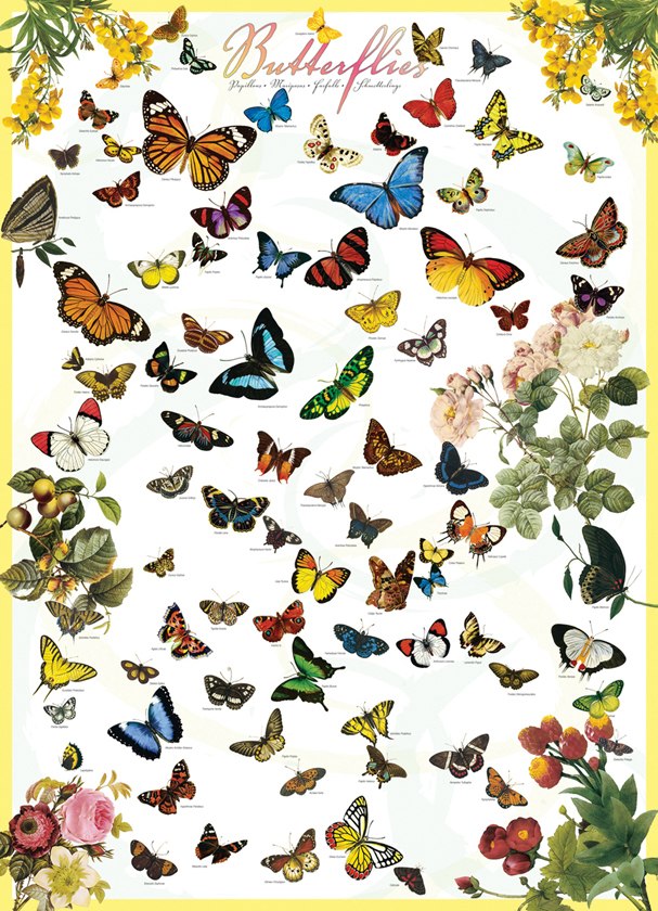 Butterflies - 1000pc Jigsaw Puzzle by Eurographics