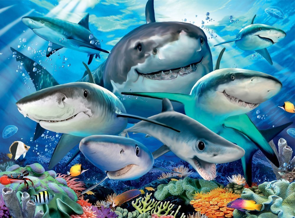 Smiling Sharks - 300pc Jigsaw Puzzle by Ravensburger