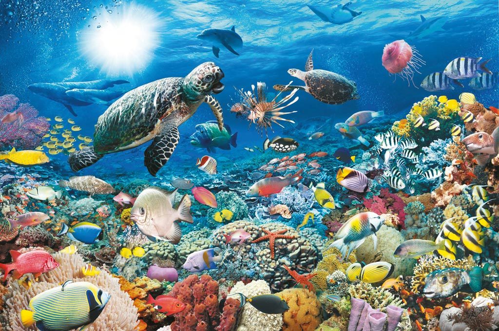 Beneath the Sea - 5000pc Jigsaw Puzzle by Ravensburger