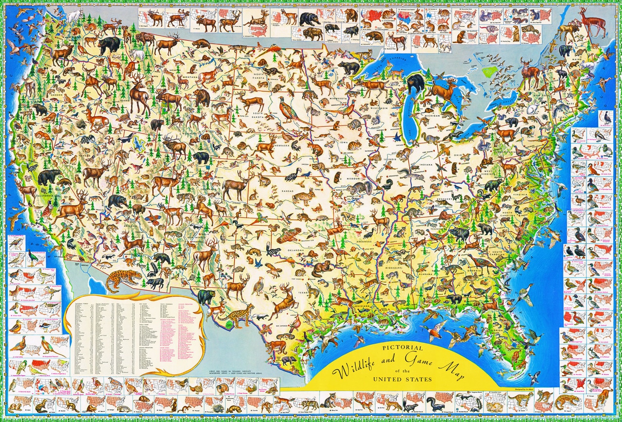 Wildlife Map - 2000pc Jigsaw Puzzle by New York Puzzle Company