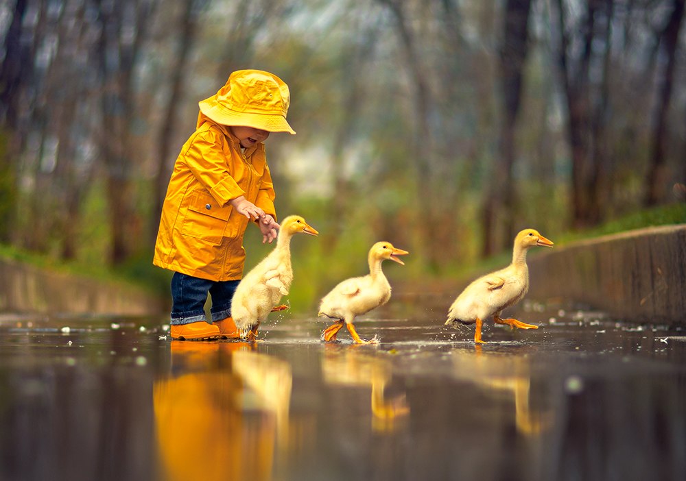 Rainy Day Friends - 500pc Jigsaw Puzzle By Castorland