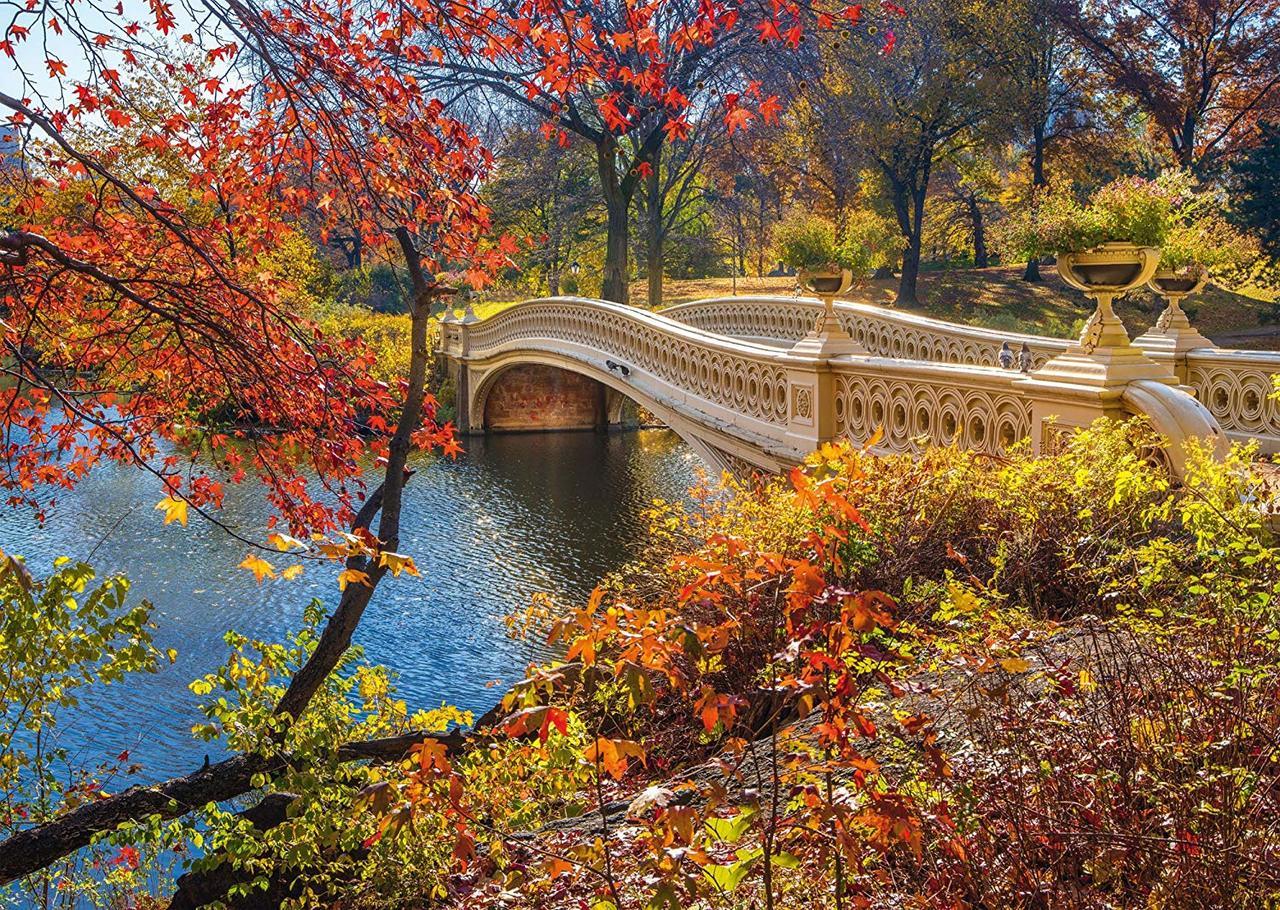 Central Park, New York - 1000pc Jigsaw Puzzle by Schmidt  			  					NEW