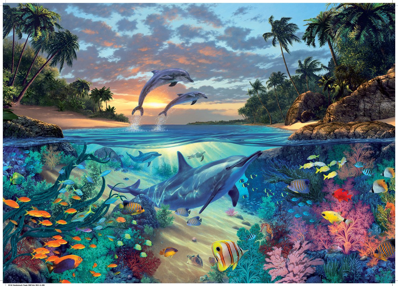Coral Bay - 1000pc Jigsaw Puzzle By Ravensburger  			  					NEW