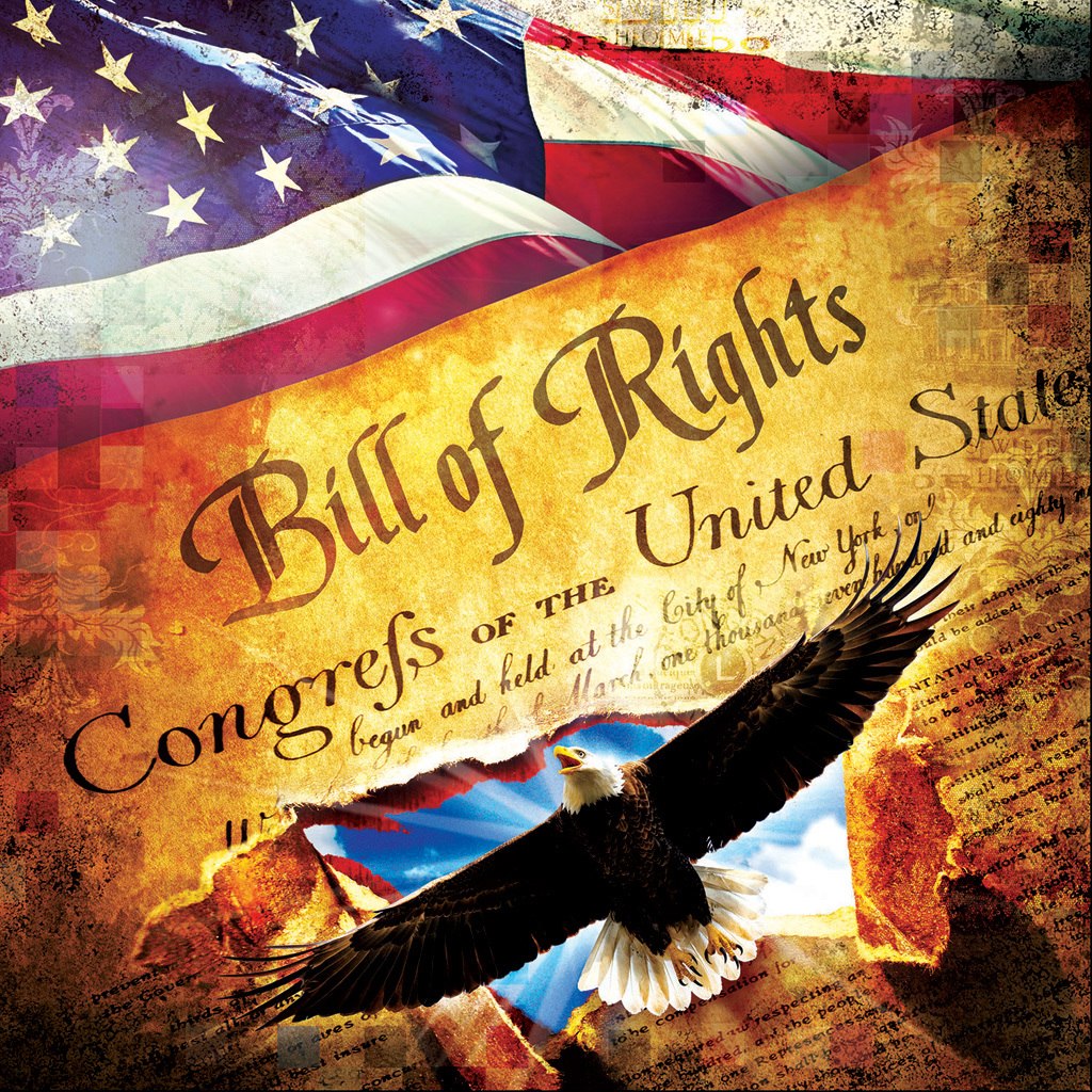 The Bill of Rights - 1000pc Jigsaw Puzzle by SunsOut