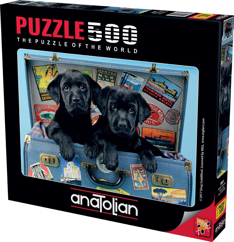 Travel Labs - 500pc Jigsaw Puzzle by Anatolian  			  					NEW - image 1