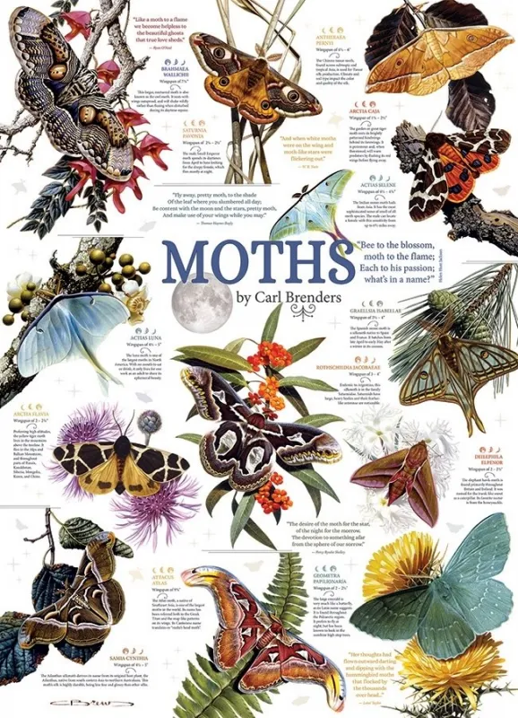 Moth Collection - 1000pc Jigsaw Puzzle by Cobble Hill
