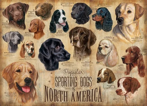 Sporting Dogs - 1000pc Jigsaw Puzzle by Cobble Hill