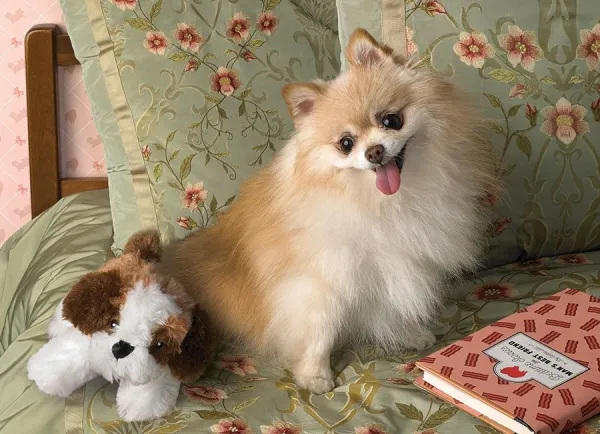 Bedtime - 500pc Jigsaw Puzzle By Cobble Hill  			  					NEW