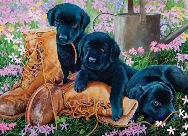 Trouble in the Garden - 500pc Jigsaw Puzzle By Cobble Hill