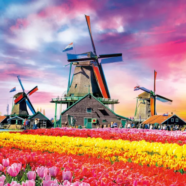 Tulips in Bloom - 300pc Large Format Jigsaw Puzzle by Buffalo Games