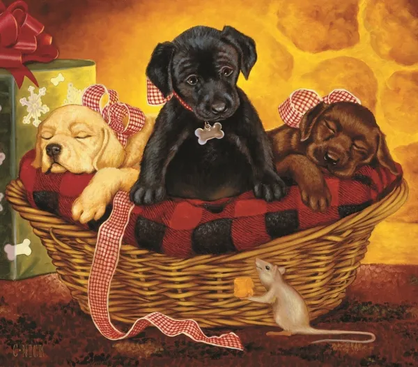 Peaceful Offering - 300pc Jigsaw Puzzle By Sunsout
