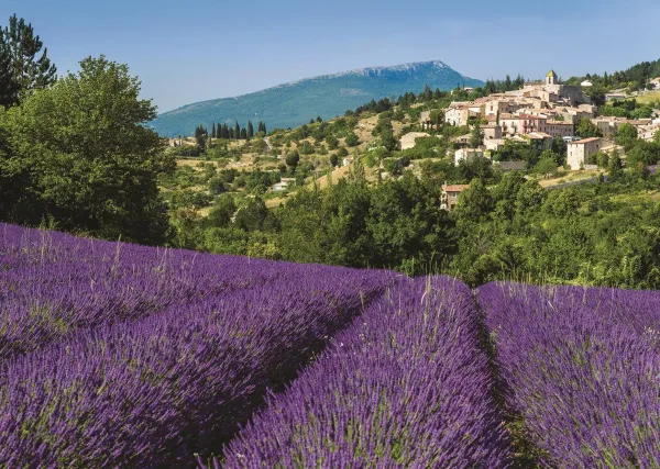 Provence, Aurel - 500pc Jigsaw Puzzle By Jumbo