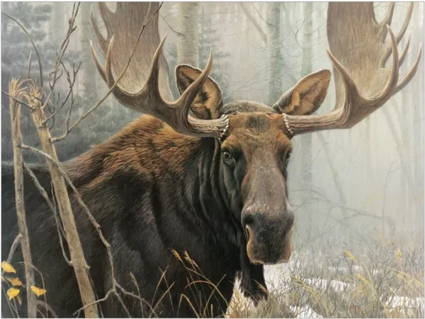 Bull Moose - 500pc Jigsaw Puzzle By Cobble Hill