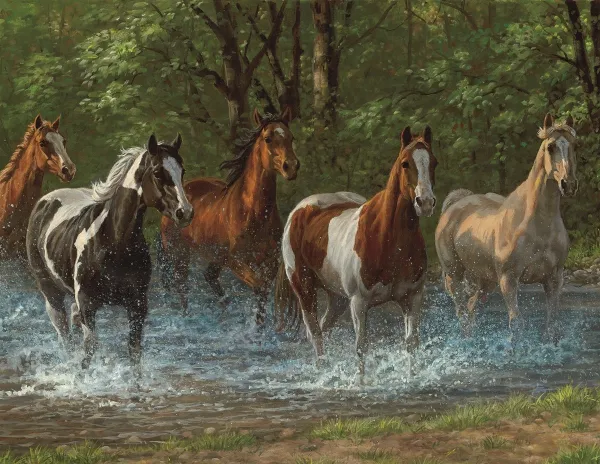 Summer Creek - 500pc Jigsaw Puzzle By Springbok