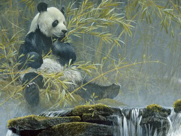 Giant Panda - 500pc Jigsaw Puzzle by Cobble Hill
