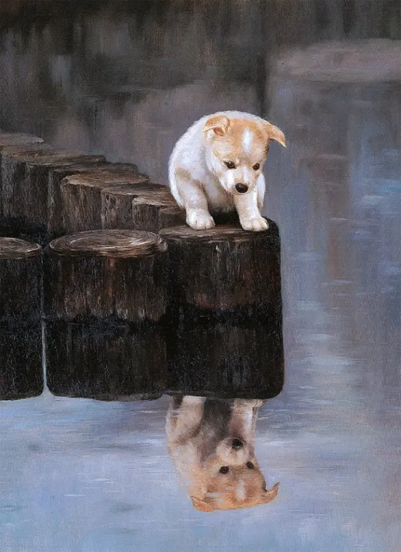 How Do I Do? - 500pc Jigsaw Puzzle by Tomax