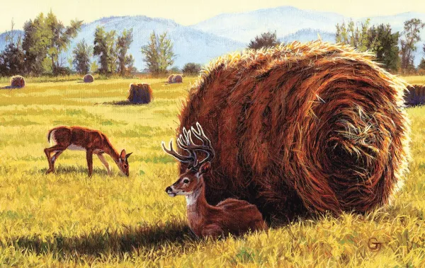 Made in the Shade - 550pc Jigsaw Puzzle By Sunsout