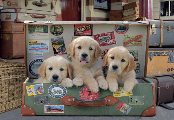 Puppies in the Luggage - 500pc Jigsaw Puzzle by Educa