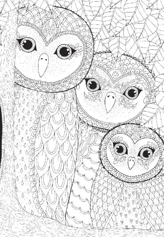 Owls Family - 260pc Jigsaw Puzzle by Anatolian