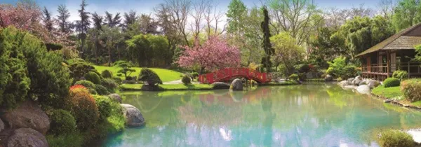 Colourful Garden - 1000pc Jigsaw Puzzle By Jumbo