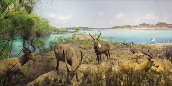 Upper Nile River Diorama - 1000pc Jigsaw Puzzle by Pomegranate