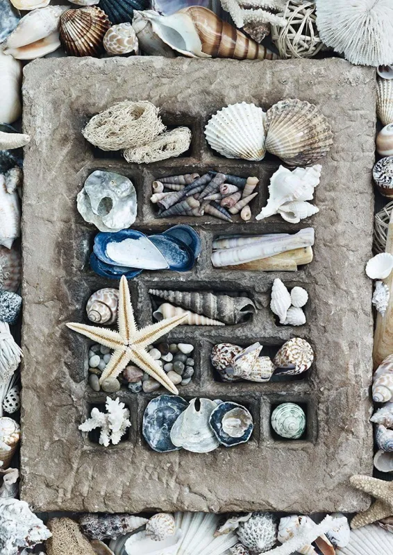 Treasures of the Sea - 500pc Jigsaw Puzzle by Schmidt