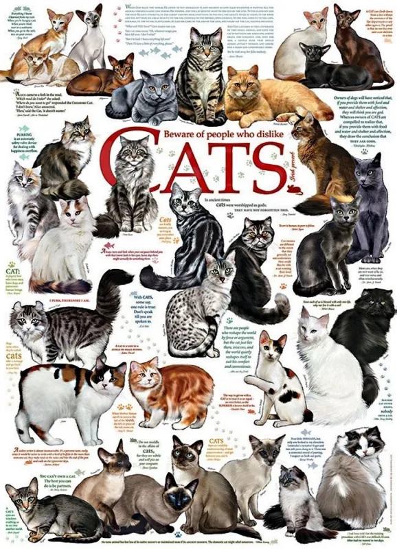 Cat Quotes - 1000pc Jigsaw Puzzle by Cobble Hill