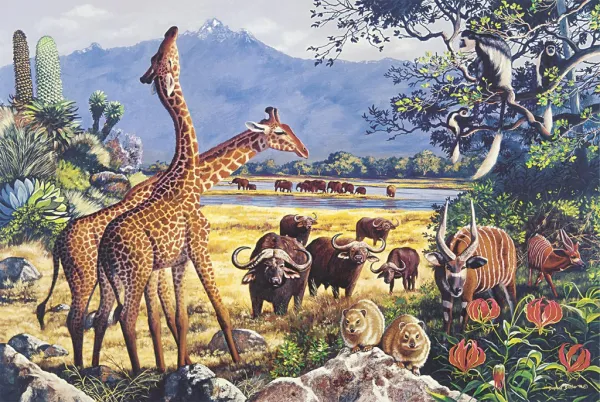 Forest Dreams - 1000pc Jigsaw Puzzle by Tomax