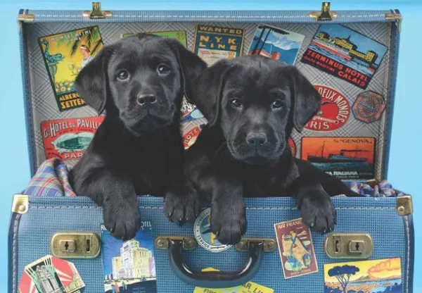 Travel Labs - 500pc Jigsaw Puzzle by Anatolian