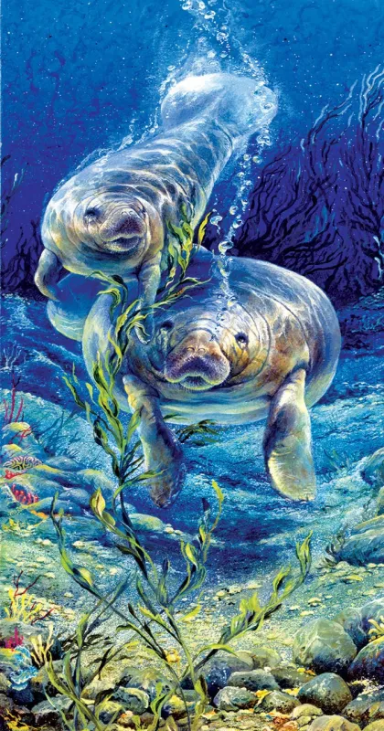 Manatee Dive - 500pc Jigsaw Puzzle by Sunsout