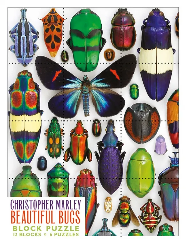 Marley: Beautiful Bugs - 12pc Block by Pomegranate