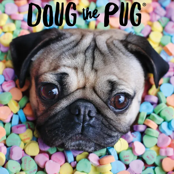Doug's Sweet Tooth - 300pc Large Format Jigsaw Puzzle by Buffalo Games