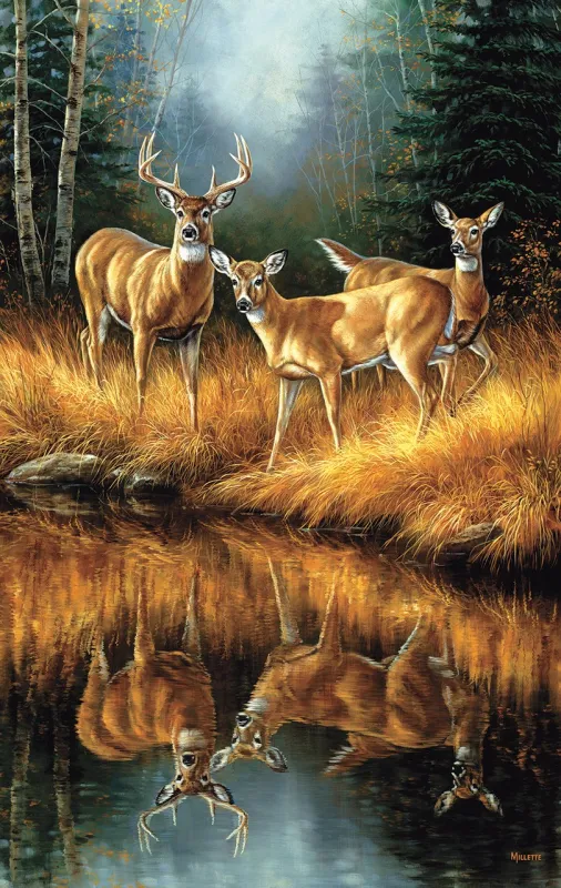 Whitetail Reflections - 550pc Jigsaw Puzzle By Sunsout