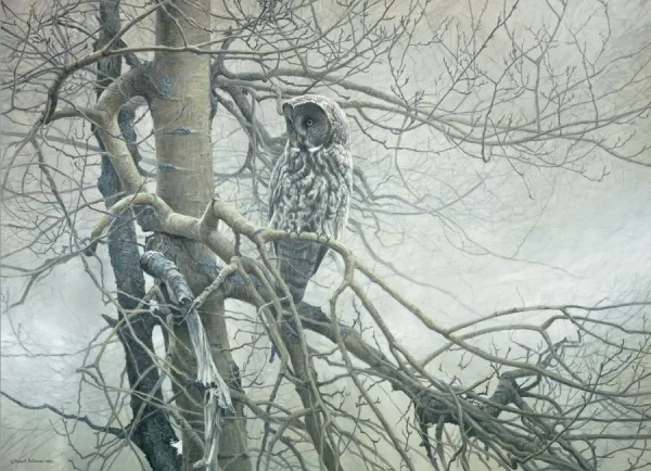 Ghost of the North - 1000pc Jigsaw Puzzle By Cobble Hill