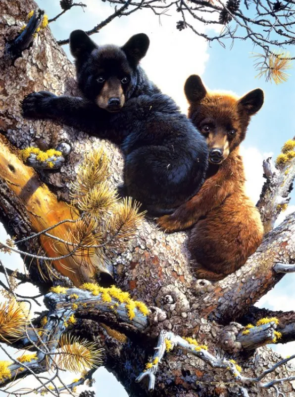 High Adventure - 1000pc Jigsaw Puzzle By Sunsout