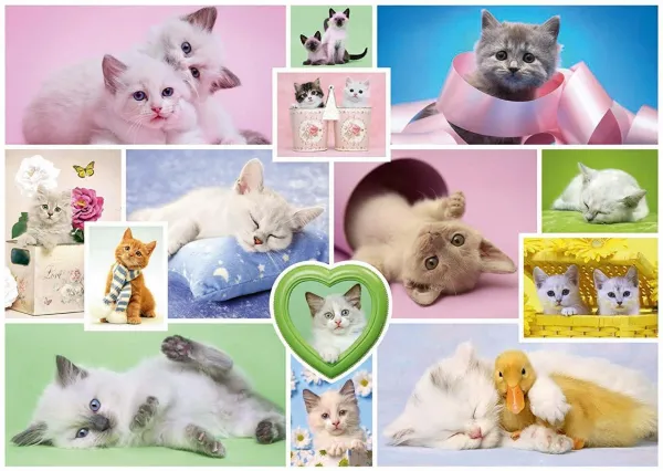 Cuddly Cats - 1000pc Jigsaw Puzzle by Schmidt  			  					NEW