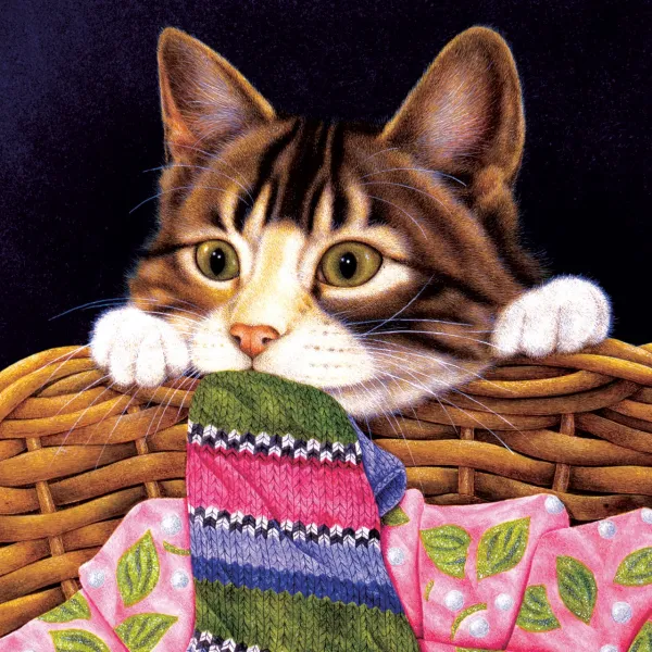 Crazy about Socks - 1000pc Jigsaw Puzzle By Sunsout