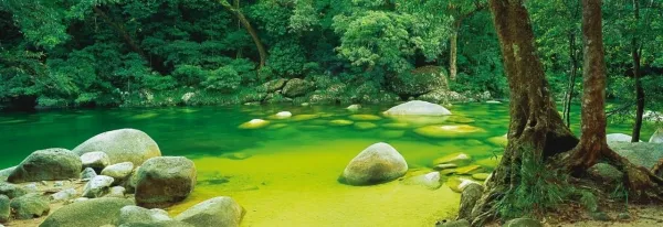 Mossman Gorge - 1000pc Panoramic Jigsaw Puzzle by Schmidt