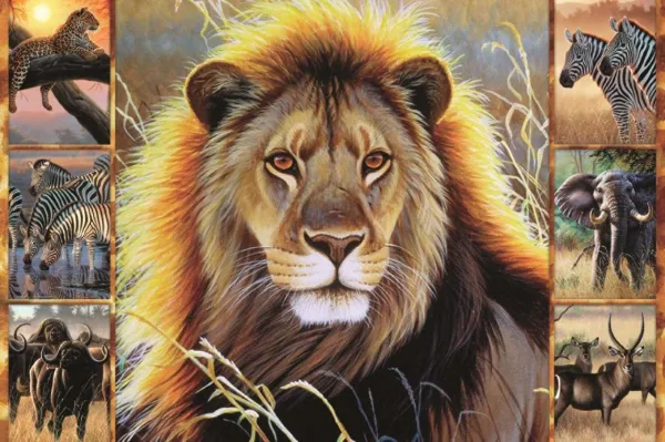 African Beauty - 1500pc Jigsaw Puzzle By Jumbo
