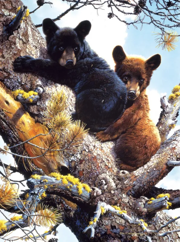 Adventure in the treetops - 300pc Jigsaw Puzzle by Sunsout