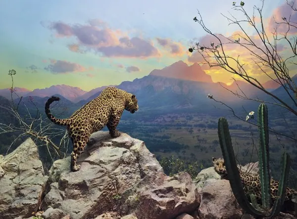 Jaguar Diorama - 1000pc Jigsaw Puzzle by Pomegranate