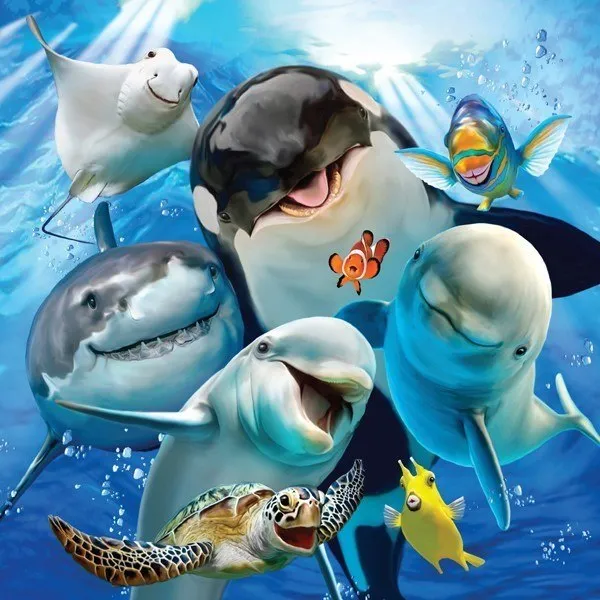 Selfies: Underwater Wonders - 500pc Jigsaw Puzzle by Holdson