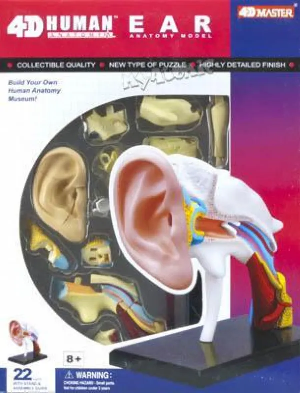 Human Ear - 22pc 4D Human Anatomy Educational Puzzle