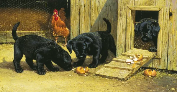 Mischief Makers - 300pc Large Format Jigsaw Puzzle by Sunsout
