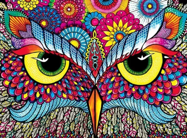 Owl Eyes - 1000pc Jigsaw Puzzle by Buffalo Games