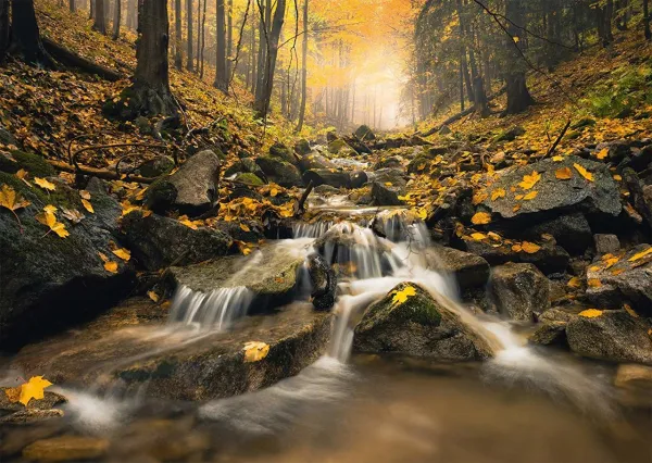 Fabulous Brook - 1000pc Jigsaw Puzzle by Schmidt