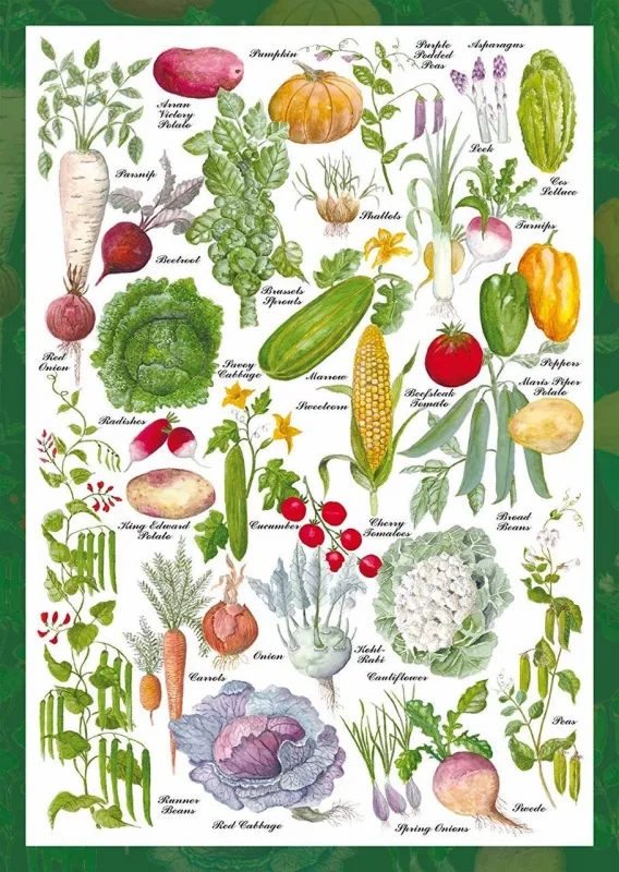 Vegetable Garden - 1000pc Jigsaw Puzzle by Schmidt